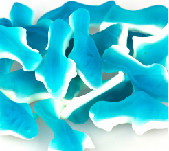 Gummy Sharks
