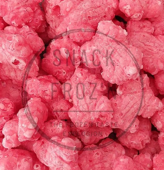 Freeze Dried Candy - Allens Big Red Frogs